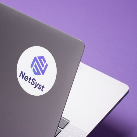 Logo de NetSyst