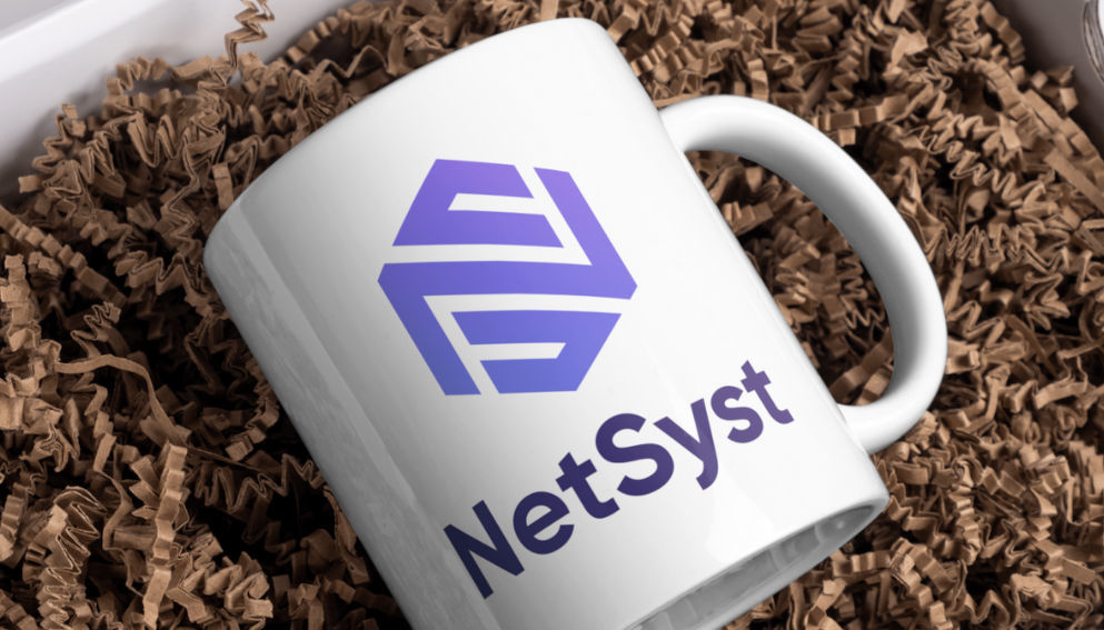 Logo de NetSyst